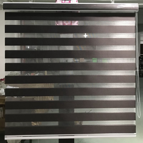 Zebra Blinds Double Layer Roller Blinds Translucent Curtain Custom Made Shade for Living Room Bedroom GY01-020