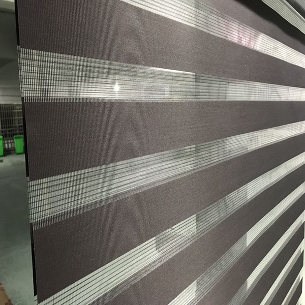 Zebra Blinds Double Layer Roller Blinds Translucent Curtain Custom Made Shade for Living Room Bedroom GY01-020