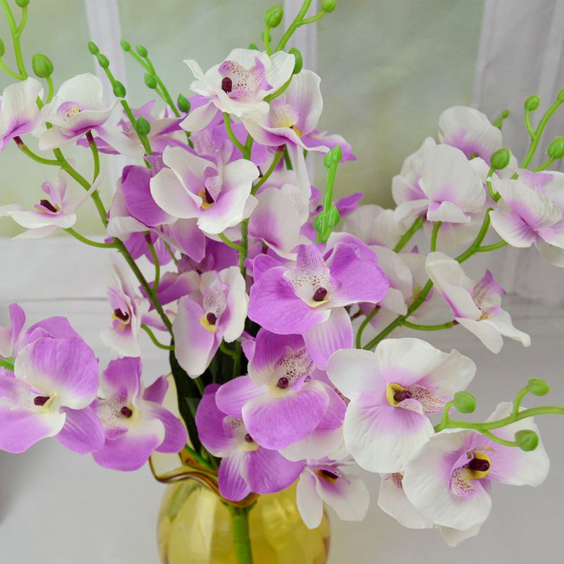 Decorative Flowers Phalaenopsis Orchid Home Hotel Restaurant Decoration