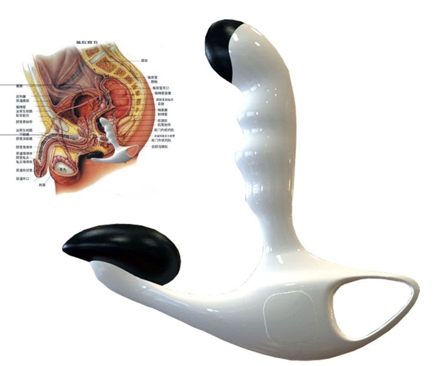 Male Prostate Massager Electro Pulse Magnet Therapy Electric S