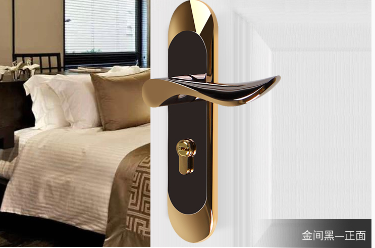 Bedroom Door Lock Design