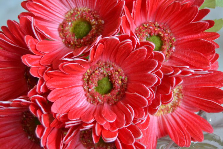 7 Heads Artificial Real Touch Gerberas Flowers for Wedding Hotel Prom and Home Decoration
