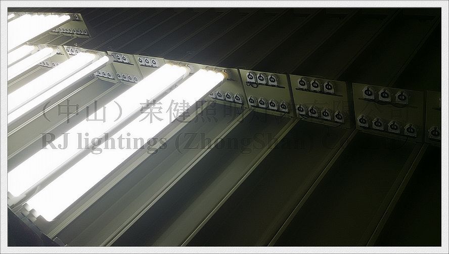 RGB LED strip light SMD 5050 LED flexible strip waterproof IP44 DC12V RGB SMD5050 60 led / M 300 led / reel